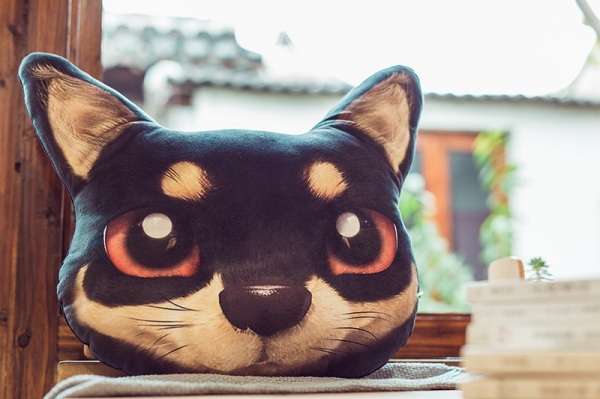 gối ôm hình đầu chó